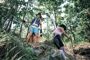 BIB: 
                            <button type="button" onclick="openModal(25989020)" class="btn btn-primary btn-sm float-right btn-popup" data-toggle="modal" data-target=".modal-high-quality">
                        <i class="fas fa-shopping-cart"></i> Add to Cart
                    </button>
                                            <button type="button" onclick="isThisMe(25989020, true)" class="btn btn-success btn-sm float-right btn-popup btn-isme hidden" data-toggle="tooltip" data-placement="bottom" title="นี่คือรูปของคุณใช่ไหม คลิกที่นี่เพื่อเอาเข้าอัลบั้ม">
                        <i class="fas fa-plus"></i> Add to album
                    </button>
                    <button type="button" onclick="isThisMe(25989020, false)" class="btn btn-warning btn-sm float-right btn-popup btn-isnotme hidden">
                        <i class="fas fa-ban"></i> Remove from album
                    </button>